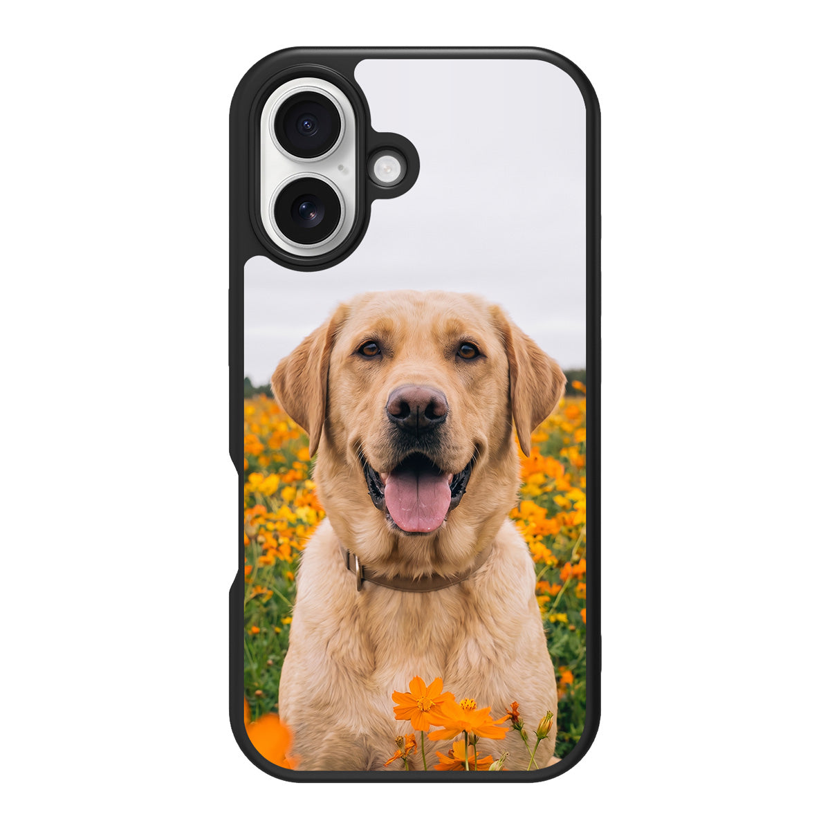 Personalised iPhone 16 Plus case – single pet photo design