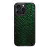 iPhone 13 Pro Max Case with MagSafe – Slytherin Senses